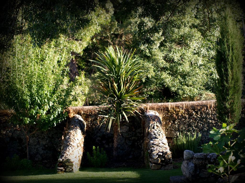 Almazara De San Pedro (Adults Only) Guest House Eljas Exterior foto
