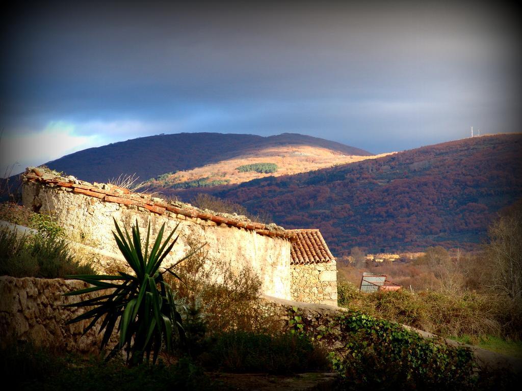 Almazara De San Pedro (Adults Only) Guest House Eljas Exterior foto