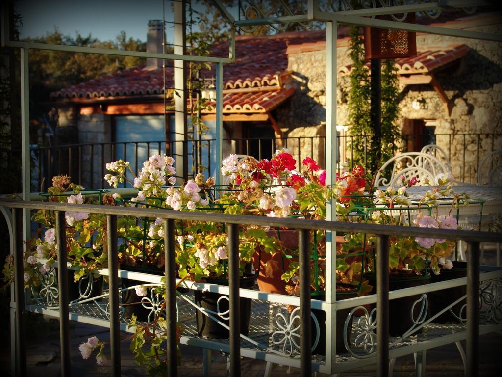 Almazara De San Pedro (Adults Only) Guest House Eljas Exterior foto
